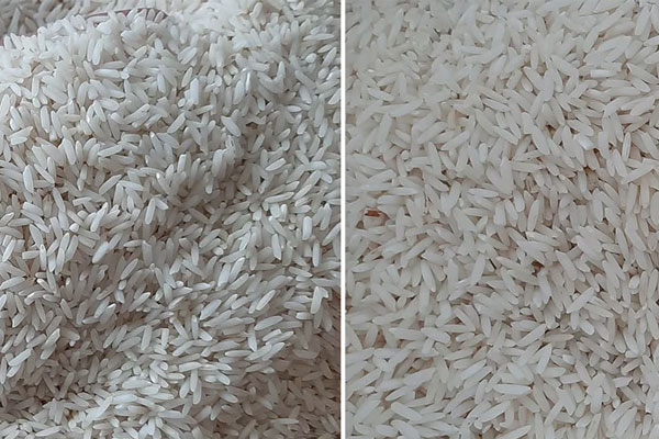 تفاوت برنج هاشمی‌وبرنج طارم چیست.کدام یک بهتر است؟