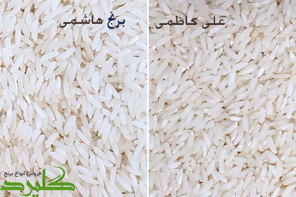 نحوه تشخیص و تفاوت برنج علی کاظمی و هاشمی؟ کدام بهتر است؟