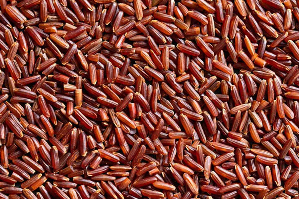 برنج قرمز چیست و چه خواصی دارد؟