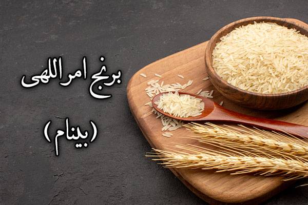 برنج امراللهی بینام
